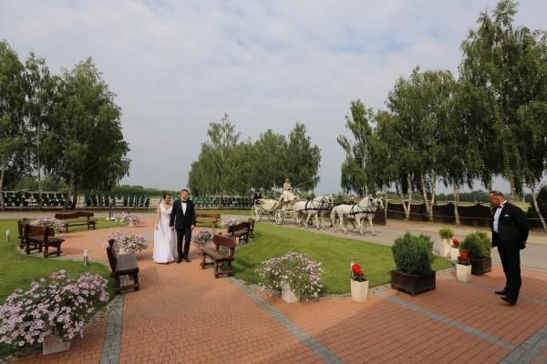 atrakcje patio